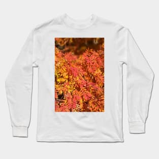 Autumn Long Sleeve T-Shirt